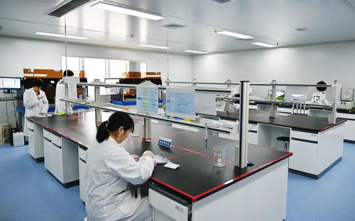科技創新,力挺 鋼的城