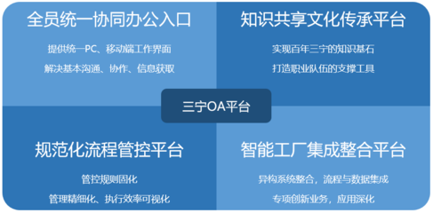 三寧化工-案例-智慧OA_協同OA系統_知識管理_手機OA辦公-藍凌OA系統